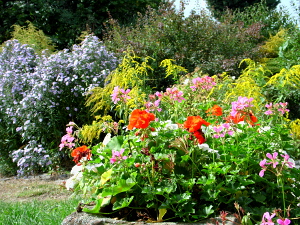 Blumen