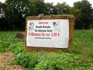 Blumen