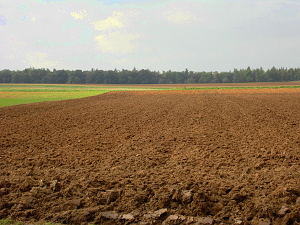 Landschaft