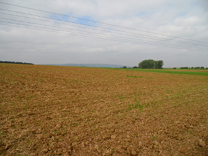 Landschaft