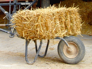 Stroh